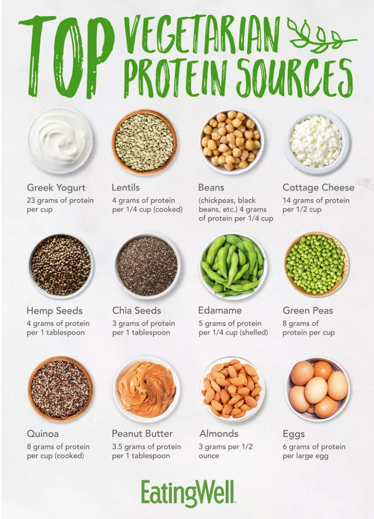Finding PlantBased Proteins for Your Workout